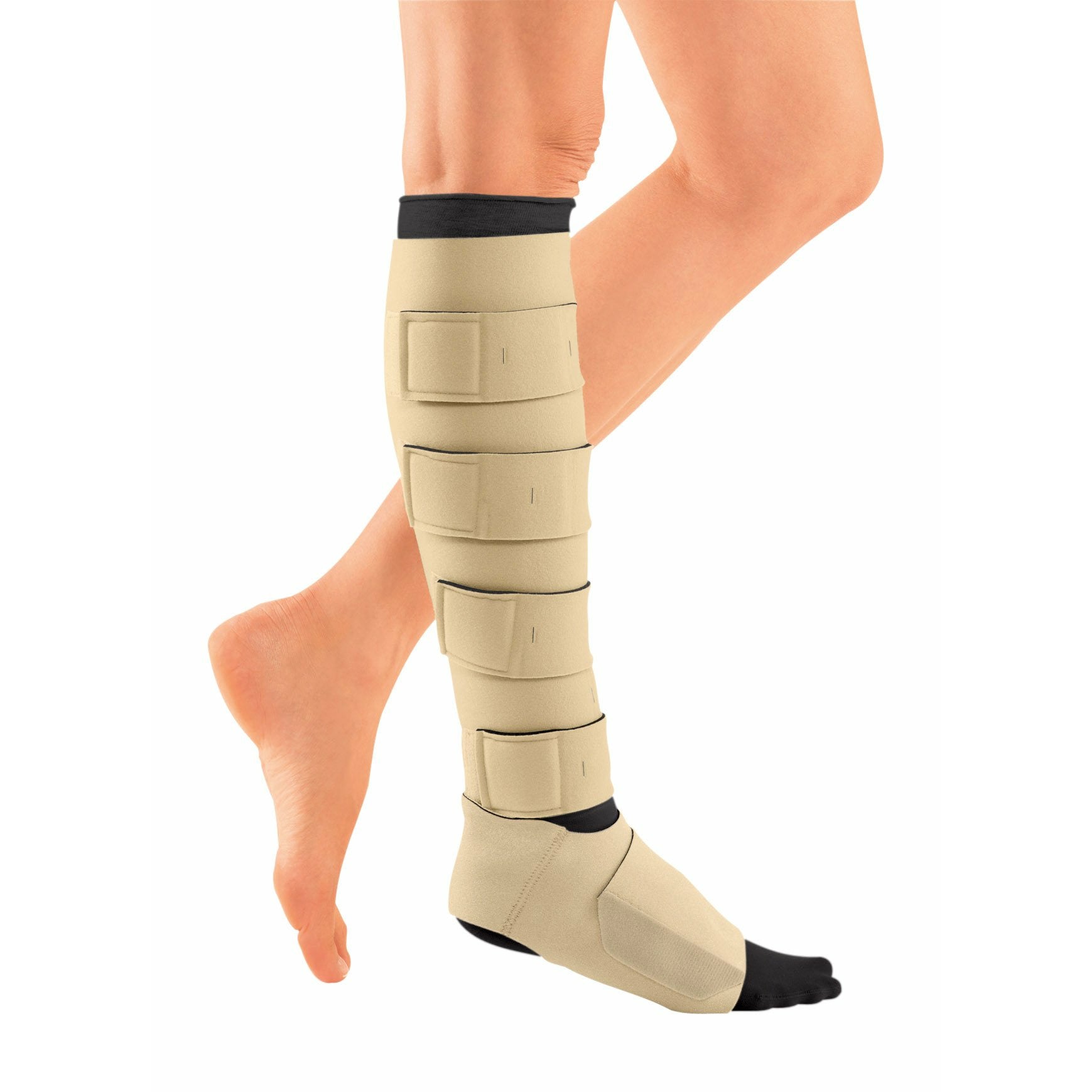 フットケア FITS 5bags Juxta Fit Essentials Standard Lower Legging – Compression Stockings